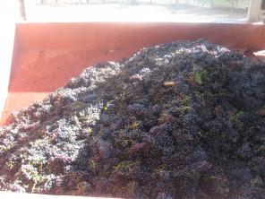 Продается винный завод в  Армении